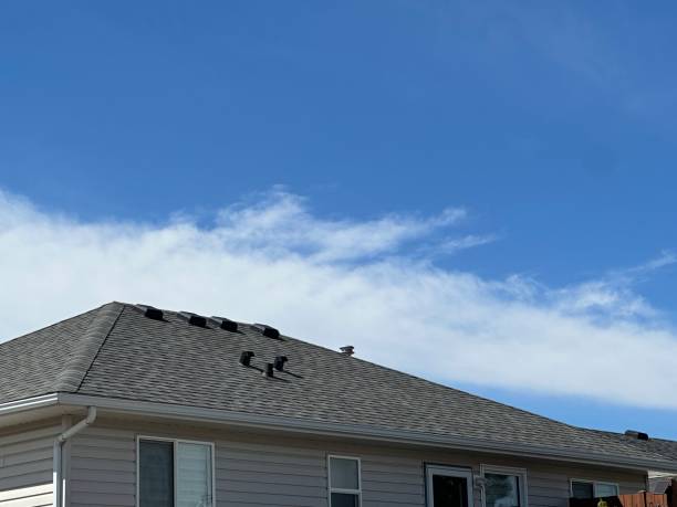 Best Metal Roofing Installation  in Port Byron, NY